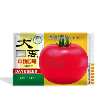 Infinite growth type medium maturing tomato seed varieties - Wholesale tomato seeds