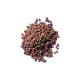 Red Color Hybrid Radish Varieties - Bulk Radish Seeds