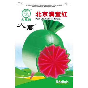 Sweet Crisp Green Epicarp Pink Flesh Radish Varieties - Bulk Radish Seeds