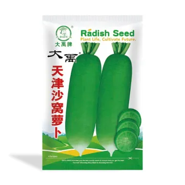 High Yield High Quality Green Flesh Radish Varieties - Bulk Radish Seeds