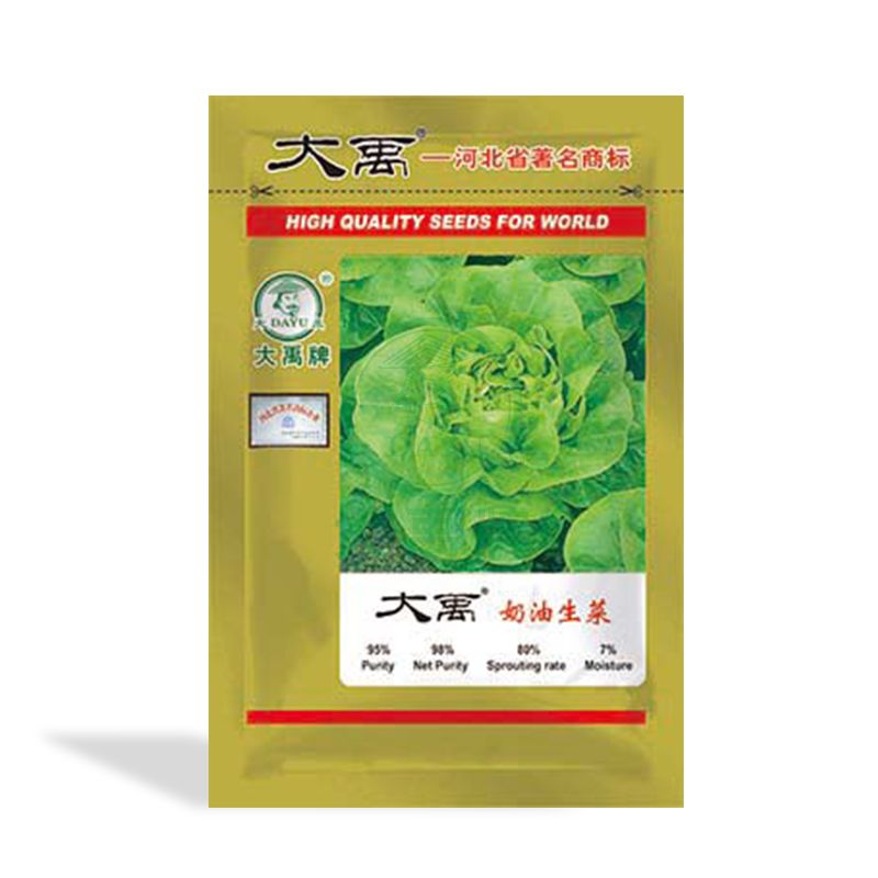 loose leaves cream lettuce