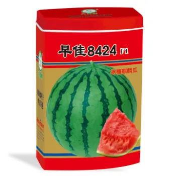 Early Maturing 8424 Watermelon