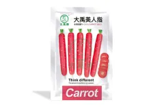 How to Plant Finger Carrots?
