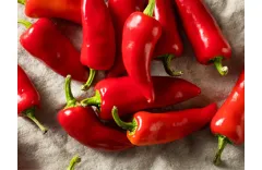 Growing Peppers from Seed: Our Top 12 Tips