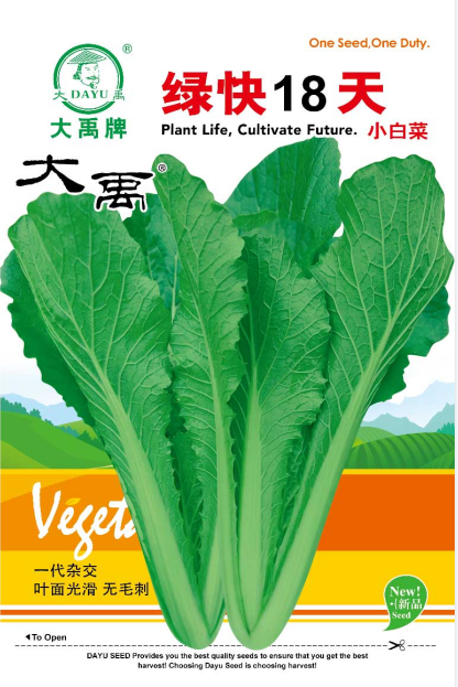 Excellent flavor edible taste fast growth cabbage