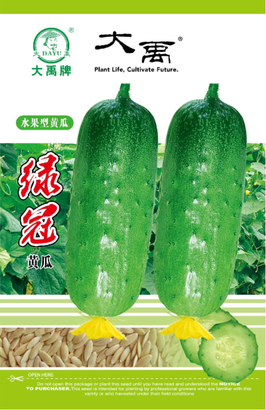 Early maturing and high-yielding short rod cucumber