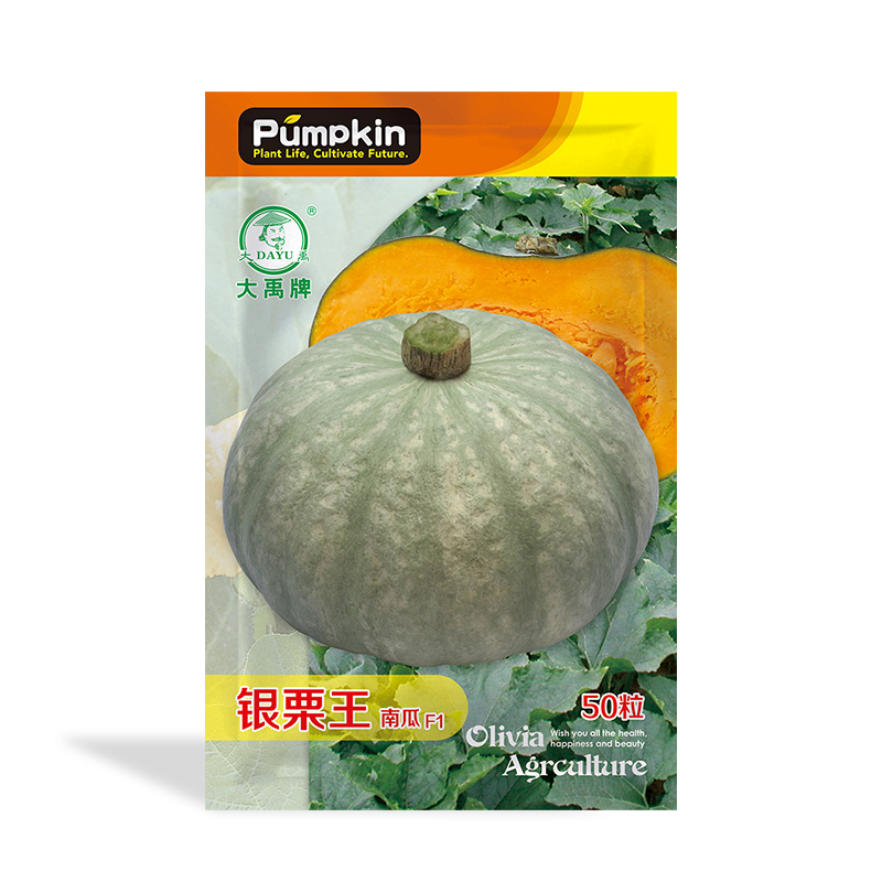 Chestnut taste oblate pumpkin