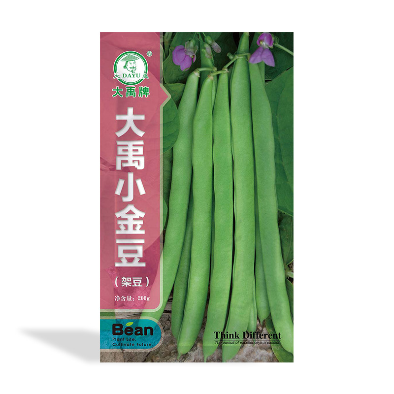 Medium early maturity concentrated pods bean