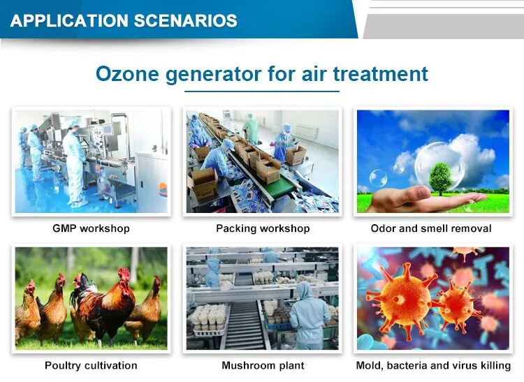 1kg-50kg Ozone Generator
