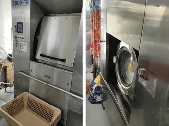 Ozone Generator for Laundry