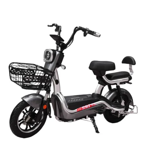 Explosion Models Sold Electric Bike Scooter 2 Wheel E-Bike Two Seats Electric Bicycle with Pedals