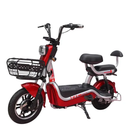 Explosion Models Sold Electric Bike Scooter 2 Wheel E-Bike Two Seats Electric Bicycle with Pedals