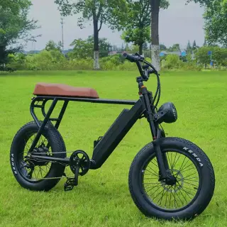 36v 350w mountain electric bicycle hidden lithium battery 21 Speed Electric Bike 1000W Electric Mountain Bike