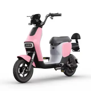 cheap price New design EEC 500w electric motor  electric scooter