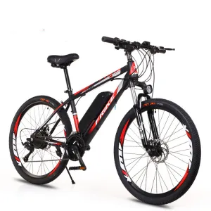 Lithium Battery bicicleta electrica electric city bike electric bicycle
