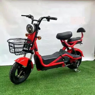 Lower price 500W 3000W electric bike motorbike with pedal two seat voltage display screen Ebike for hot sales
