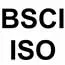 BSCI  certification, TWS Bluetooth wireless  speaker headphone