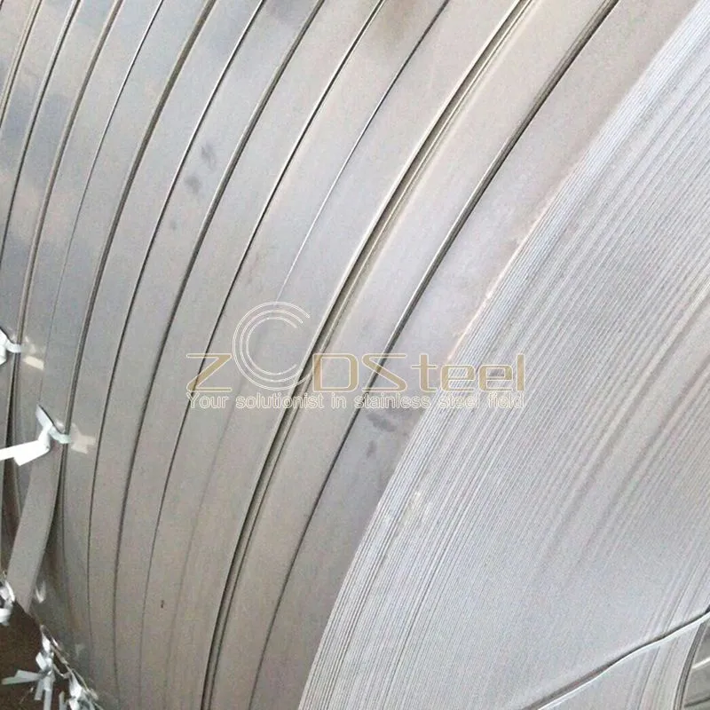 Hot sellling hot rolled stainless steel strips