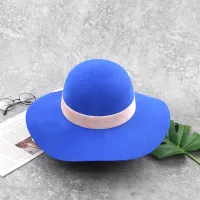Blue Wool Felt Hat Wide Brim Wholesale Floppy
