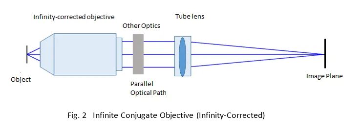 How to Choose the Right Microscope Objective