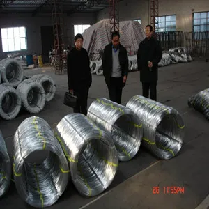 Hot Dipped Galvanized Iron Wire