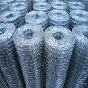 hot dipped galvanized wire