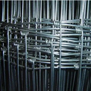 Galvanized Iron Wire