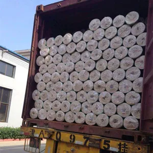 Welded Wire Mesh 30m roll