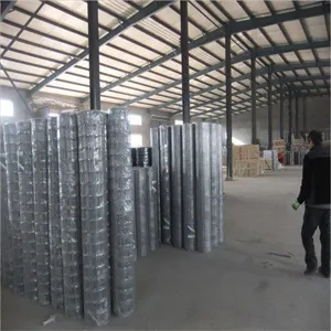 Welded Wire Mesh 30m roll