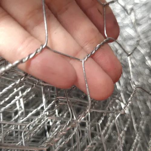 hexagonal wire mesh