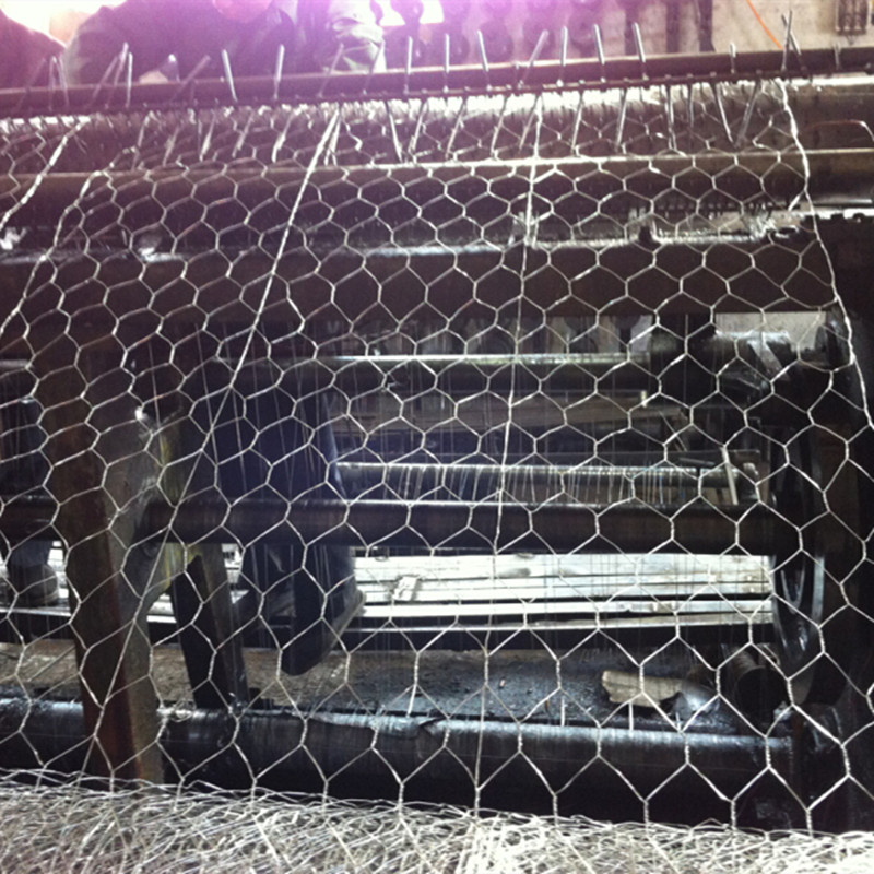 hexagonal wire mesh