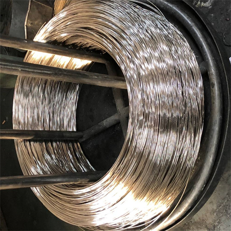 Stainless Steel Wire