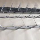 Anti-Climb High Security Razor Wall Spikes