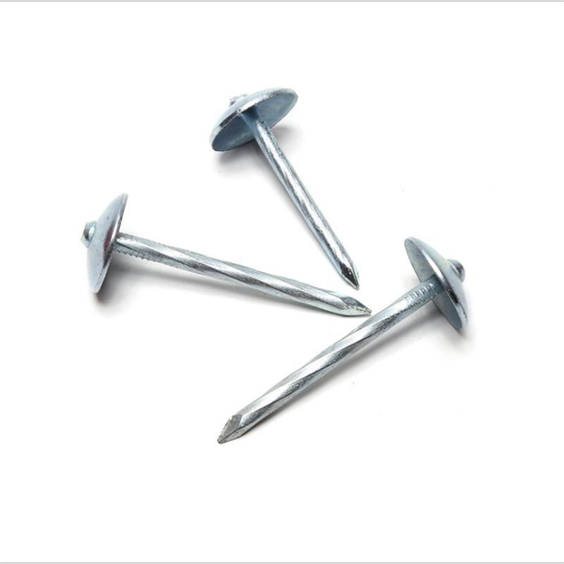 Galvanised Roofing Nails