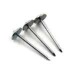 Galvanised Roofing Nails