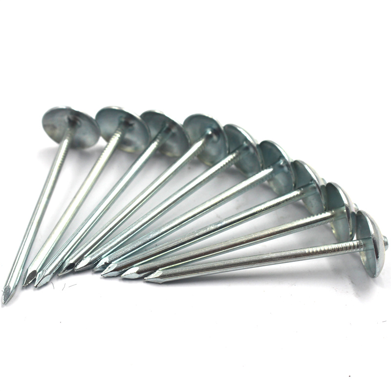 Galvanised Roofing Nails