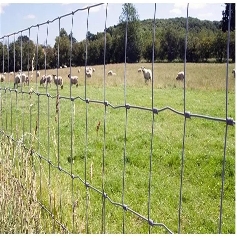 Geschweißtes Drahtgeflecht