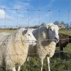 Geschweißtes Drahtgeflecht