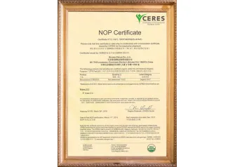 NOP Certificate