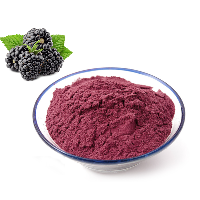 Black Berry Extract Powder