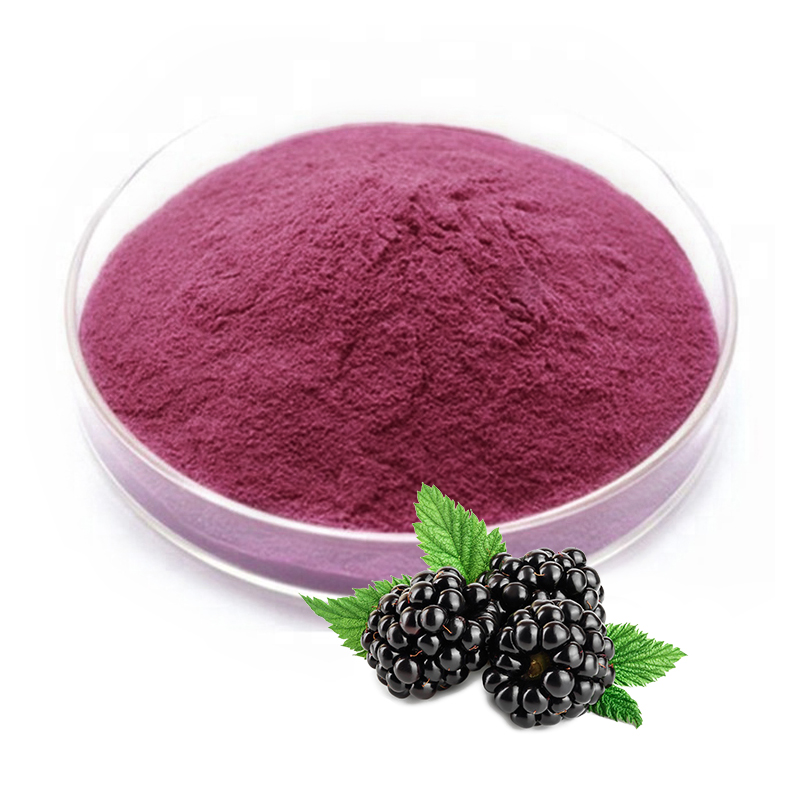 Black Berry Extract Powder