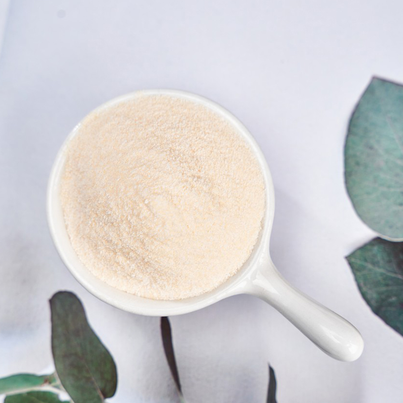 Papaya Powder