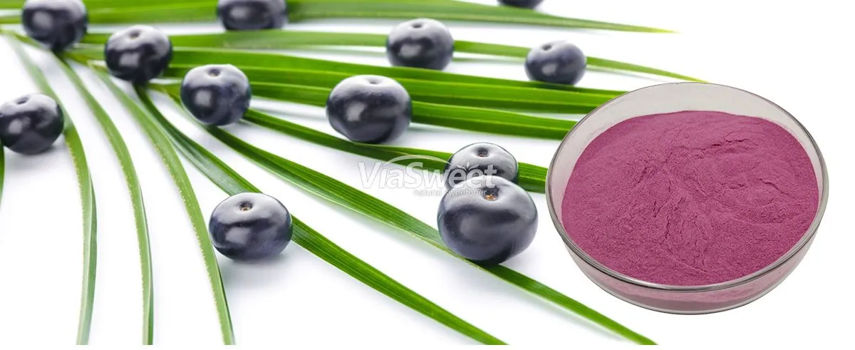 Acai berry Juice Powder
