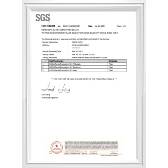 SGS Shoe Rack Report CZHL2103000960SD