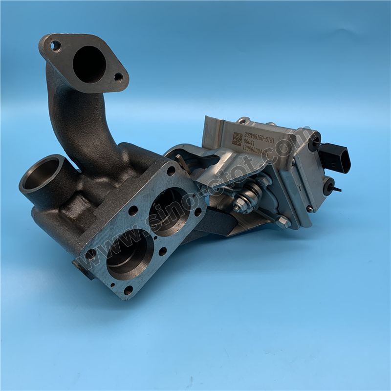 202v08150-6181 EGR valve assembly
