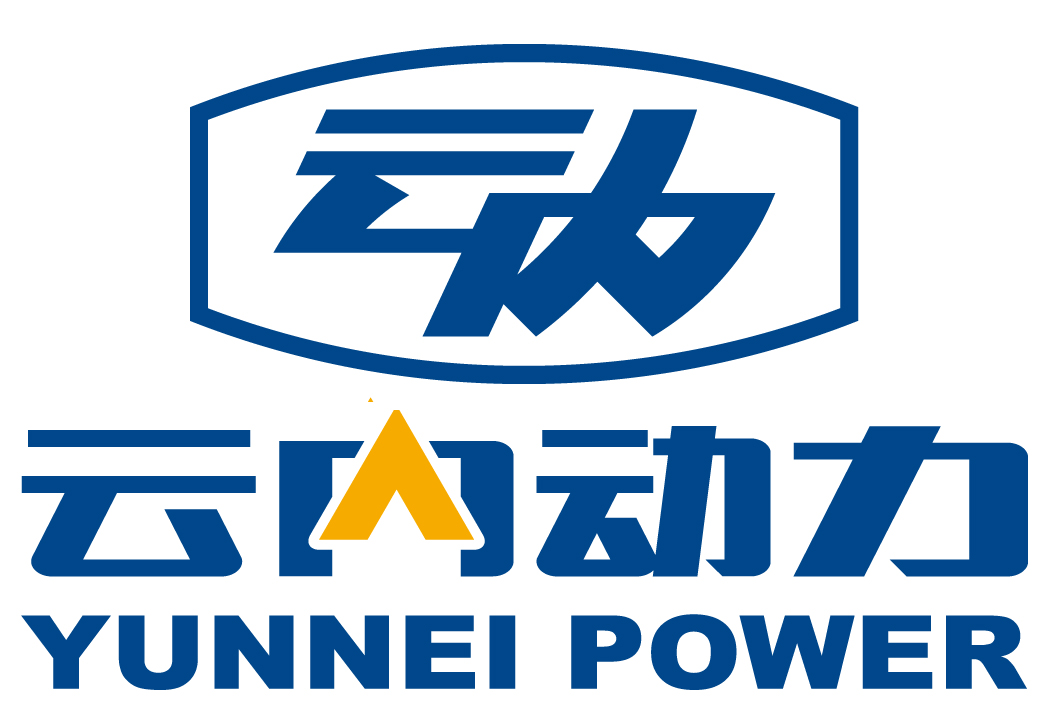 Yunnei Engine Spare Parts