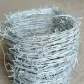 Galvanized Barbed Wire