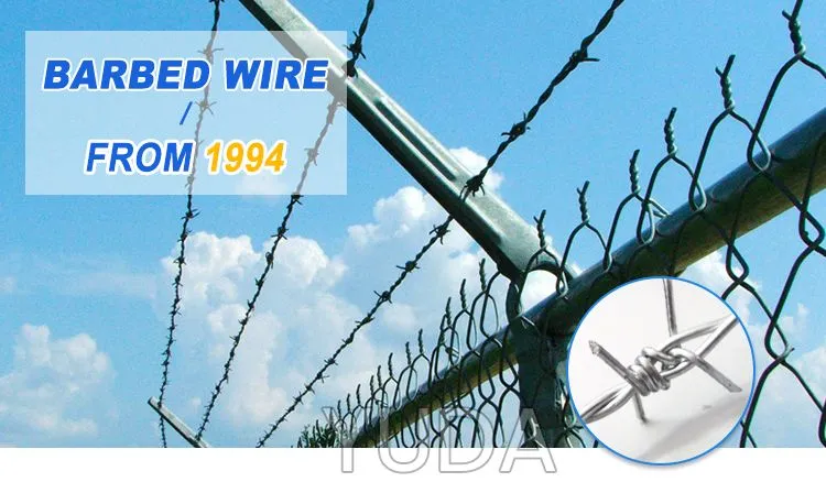 Galvanized Barbed Wire