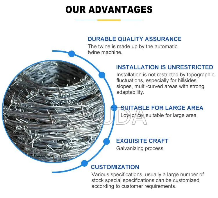 Galvanized Barbed Wire