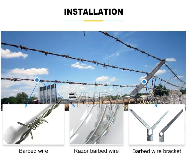 Galvanized Barbed Wire